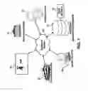 Fig. 02 - BIOMETRIC SECURITY AND AUTHENTICATION FOR A MOBILE DEVICE