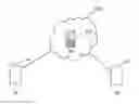 Fig. 01 - Method of synchronous image sharing