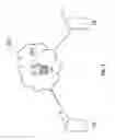 Fig. 02 - Method of synchronous image sharing