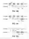 Fig. 22 - Real-time or near real-time streaming