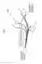 Fig. 02 - Node apparatus operating as proxy server