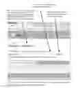 Fig. 10 - SYSTEM AND METHOD OF AUTOMATIC SHARING OF ONLINE ACTIVITIES
