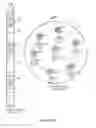 Fig. 09 - Zoom related methods and apparatus