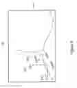 Fig. 09 - Orientation-adapted image remote inspection systems and methods