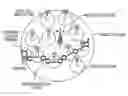 Fig. 01 - BASE STATION AND CELL SELECTION METHOD