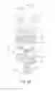 Fig. 22 - Safety valve device