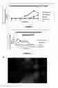 Fig. 08 - RAPID SPECIFIC PATHOGEN FREE ANIMAL
