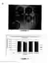 Fig. 09 - RAPID SPECIFIC PATHOGEN FREE ANIMAL