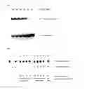 Fig. 07 - Geminivirus replication inhibitor
