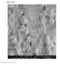 Fig. 35 - Low ignition propensity cigarette paper and cigarette using the same