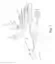 Fig. 02 - Temperature transfer Apparel