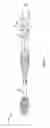 Fig. 02 - Toothbrush with visual and/or other sensory effects