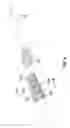 Fig. 05 - Toothbrush with visual and/or other sensory effects