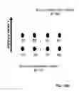 Fig. 33 - HAIRBRUSH, METHODS OF USE, AND METHODS OF MANUFACTURING THE SAME