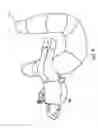 Fig. 07 - Support product