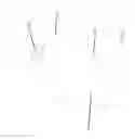 Fig. 22 - Glove dispensing device