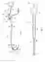 Fig. 02 - Apparatus, systems, and methods for epicardial imaging and injection
