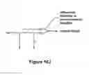 Fig. 27 - Heart rate data collection