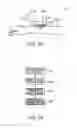 Fig. 21 - BIOMETRIC INFORMATION MEASURING APPARATUS