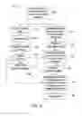 Fig. 06 - METHOD AND SYSTEM FOR DYNAMIC REFERENCING AND REGISTRATION USED WITH SURGICAL AND INTERVENTIONAL PROCEDURES