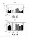 Fig. 05 - Method and apparatus for selecting activity response vector