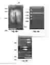 Fig. 14 - SYSTEM AND METHOD OF PRESSURE MAPPING AND 3-D SUBJECT REPOSITIONING FOR PREVENTING PRESSURE WOUNDS