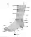 Fig. 04 - Thermochromic fabrics utilizing cholesteric liquid crystal material