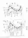 Fig. 07 - System and method for spatiotemporally synchronizing and displaying bodily organ images and physiological parameter(s) related thereto