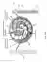 Fig. 112 - Apparatus and methods for fastening tissue layers together with multiple tissue fasteners