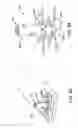 Fig. 33 - Apparatus and methods for fastening tissue layers together with multiple tissue fasteners