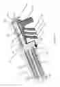 Fig. 98 - Apparatus and methods for fastening tissue layers together with multiple tissue fasteners