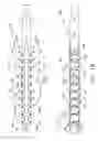 Fig. 20 - SURGICAL INSTRUMENTS WITH ARTICULATABLE SHAFT ARRANGEMENTS