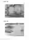 Fig. 04 - FILLING MATERIAL FOR BONE DEFECT PART