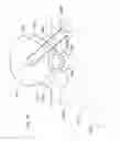 Fig. 09 - Pedicle depth measuring apparatus