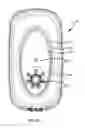 Fig. 06 - Dental water jet
