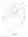 Fig. 20 - High performance knee prostheses