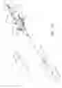 Fig. 35 - Fenestrated prosthesis