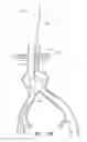 Fig. 43 - Fenestrated prosthesis