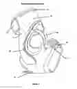 Fig. 07 - Ankle supports