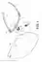 Fig. 02 - PROTECTION MASK