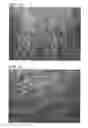 Fig. 06 - NONWOVEN, SHEET FOR ABSORBENT ARTICLE, AND ABSORBENT ARTICLE USING THE SAME