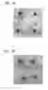Fig. 09 - Absorbent article with high quality ink jet image produced at line speed