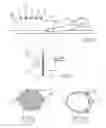 Fig. 08 - DEVICES AND METHODS FOR TREATING RESTLESS LEG SYNDROME