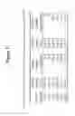 Fig. 32 - Transmucosal Administration of Drug Compositions for Treating and Preventing Disorders in Animals