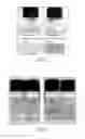 Fig. 05 - Microemulsion preconcentrates and microemulsions, and preparation processes of the same