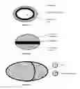 Fig. 02 - Multiple unit dosage form having a therapeutic agent in combination with a nutritional supplement