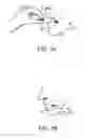 Fig. 04 - LOZENGES WITH SILVER NANOPARTICLES