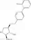 Fig. 10 - PHARMACEUTICAL COMPOSITIONS FOR THE TREATMENT OF VISUAL SYSTEM DISORDERS