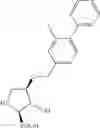 Fig. 11 - PHARMACEUTICAL COMPOSITIONS FOR THE TREATMENT OF VISUAL SYSTEM DISORDERS