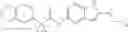 Fig. 191 - MODULATORS OF ATP-BINDING CASSETTE TRANSPORTERS